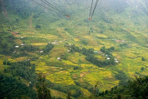 Sắc vàng trải khắp thung lũng mường hoa