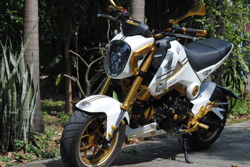 Honda msx đơn giản với tông màu vàng trắng