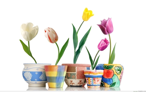 Những sai lầm phong thủy hay gặp cần tránh để xua tan vận xui