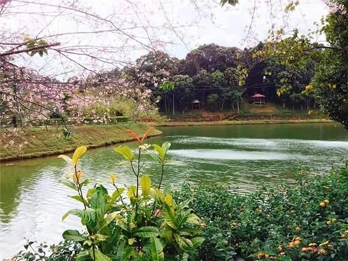 Vùng đất bắc tây nguyên đẹp say đắm lòng người