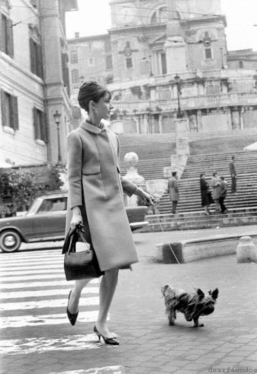 Loạt ảnh street style quý giá của audrey hepburn