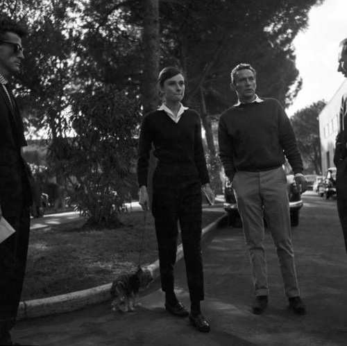 Loạt ảnh street style quý giá của audrey hepburn
