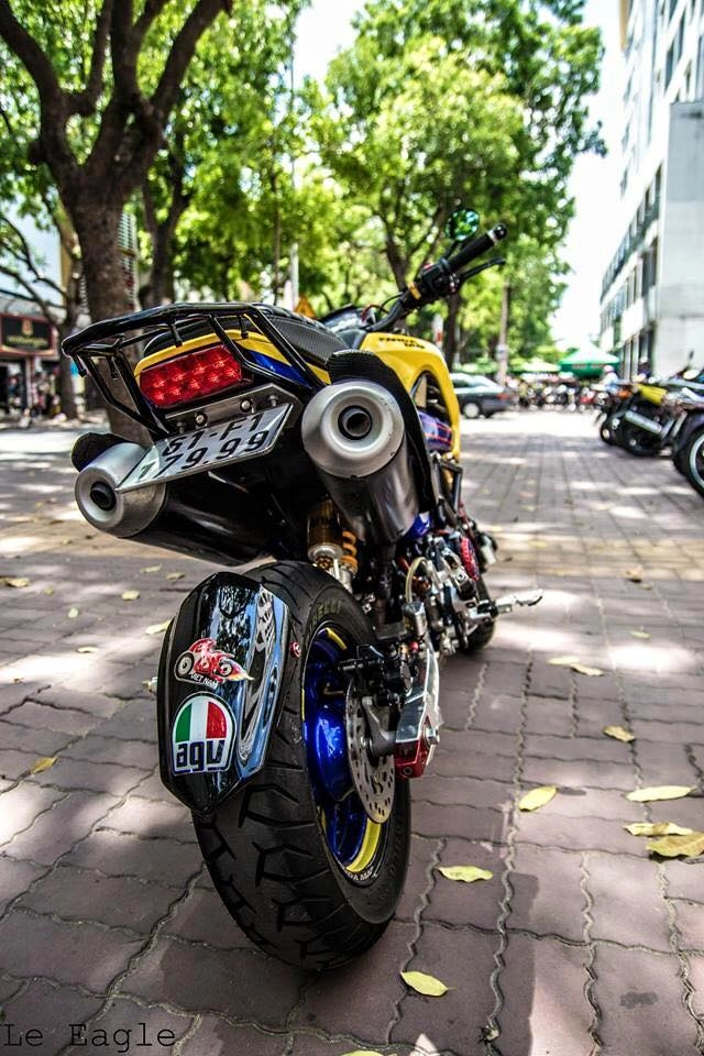 Honda msx độc lạ với xu hướng mới mẻ