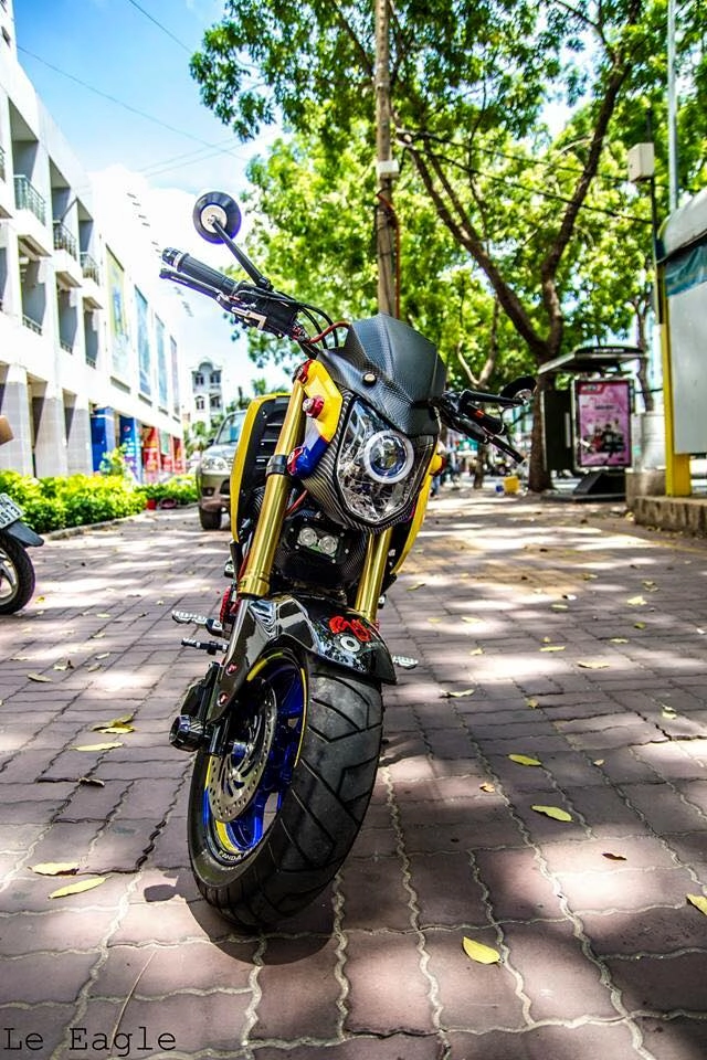 Honda msx độc lạ với xu hướng mới mẻ
