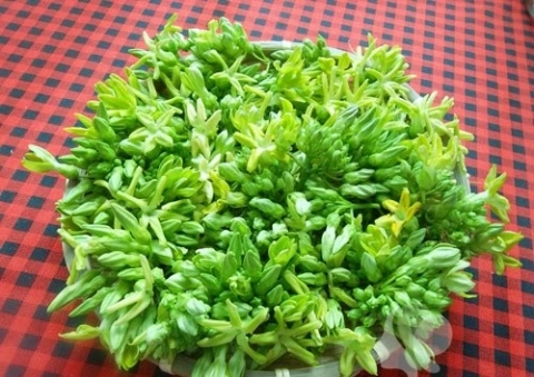 Canh cua thiên lý thịt xào chua ngọt hết xảy cho gia đình muốn f5 thực đơn
