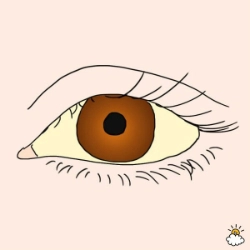Tự chẩn đoán sức khỏe qua dấu hiệu bất thường từ đôi mắt