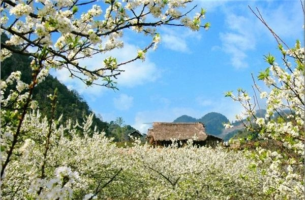 Những điểm du lịch cuốn hút ngày đầu năm