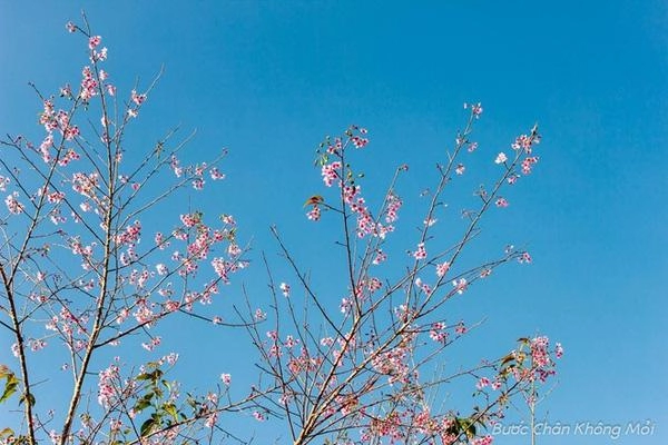 Những điểm du lịch cuốn hút ngày đầu năm