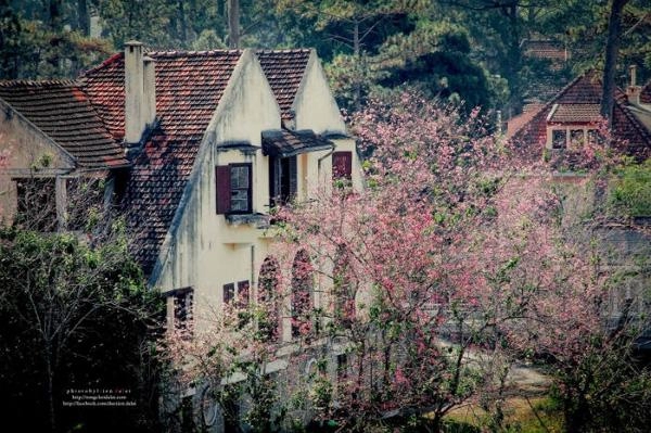 Những điểm du lịch cuốn hút ngày đầu năm