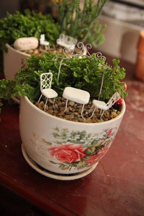 Mẹ bỉm sữa trồng vườn mini đẹp mê hồn