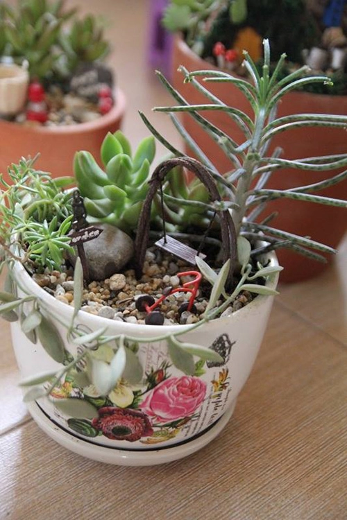 Mẹ bỉm sữa trồng vườn mini đẹp mê hồn