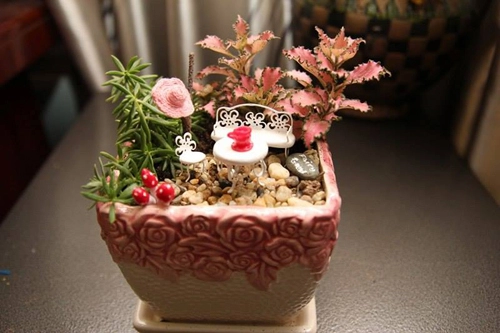Mẹ bỉm sữa trồng vườn mini đẹp mê hồn