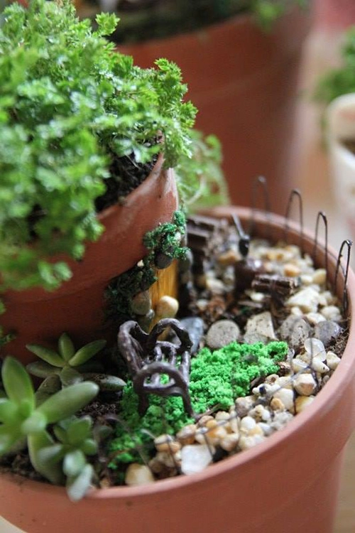 Mẹ bỉm sữa trồng vườn mini đẹp mê hồn