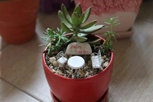 Mẹ bỉm sữa trồng vườn mini đẹp mê hồn