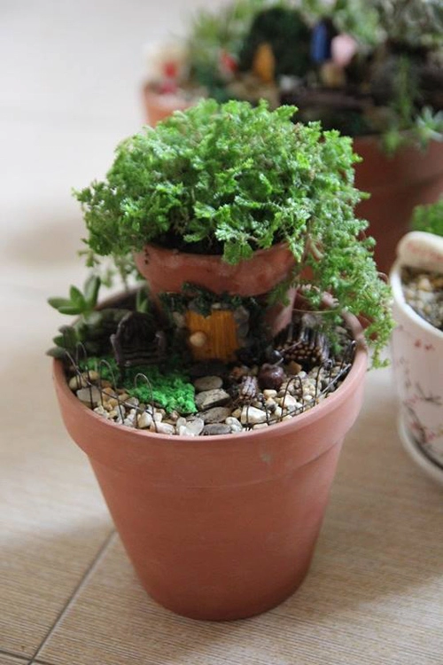 Mẹ bỉm sữa trồng vườn mini đẹp mê hồn