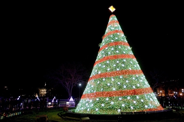 Ngước nhìn những cây thông noel đẹp khủng khiếp trên thế giới