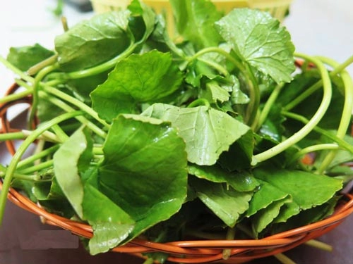 Bật mí 3 công thức làm đẹp siêu rẻ từ 1 nắm rau má
