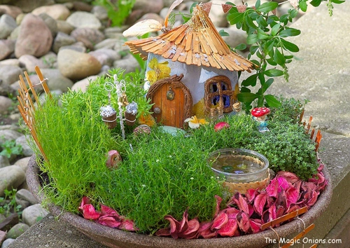 Hướng dẫn biến hóa với chậu cây cổ tích cho nhà