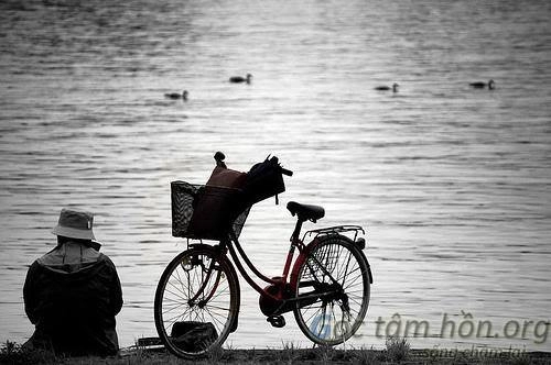 Bạn nên sống chậm lại