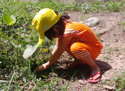 Các hoạt động ngoài trời cho bé yêu cao khỏe