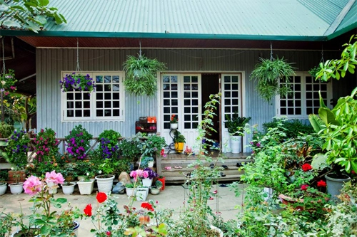 Các vườn hoa bạn không thể rời mắt dù chỉ 1 giây