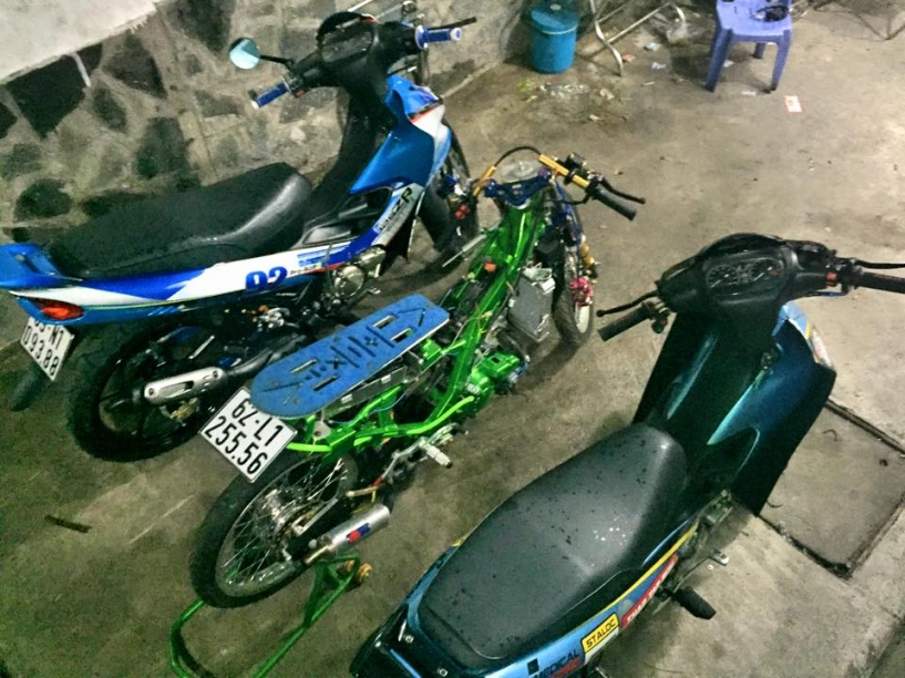 Cận cảnh những chú cọp yaz sắp ra lò đầy uy lực