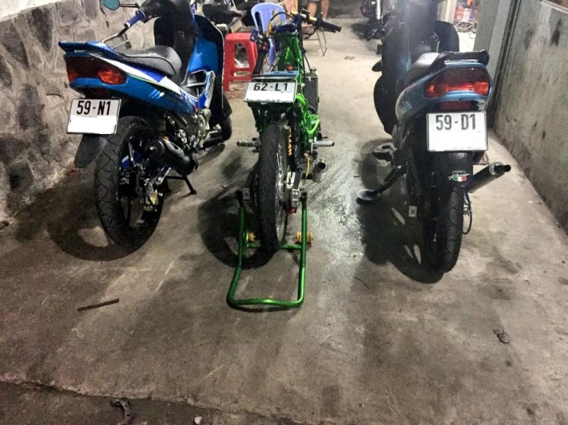 Cận cảnh những chú cọp yaz sắp ra lò đầy uy lực
