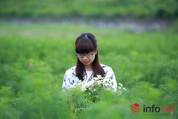 Cận cảnh vườn hoa tam giác mạch giữa lòng hà nội tha hồ check in