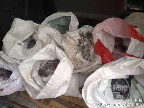 Mẹ đơn thân tích cóp 250kg tiền xu mua nhà cho con