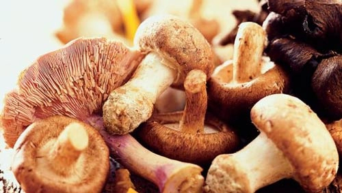 Thực phẩm vàng trong mùa đông để con khỏe mạnh