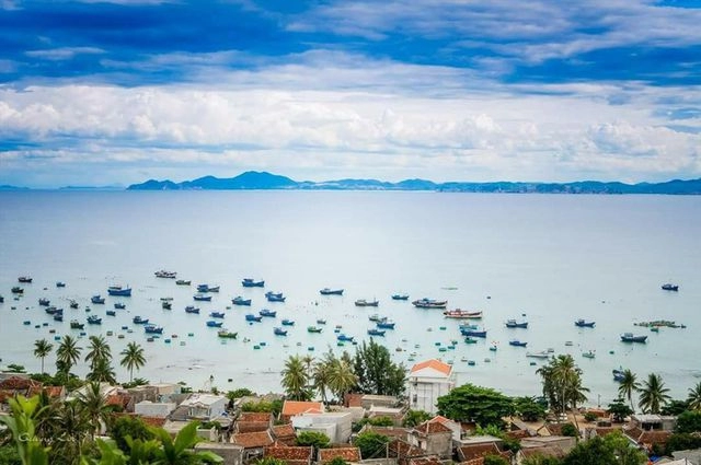 Chạy ngay đến cù lao xanh quy nhơn