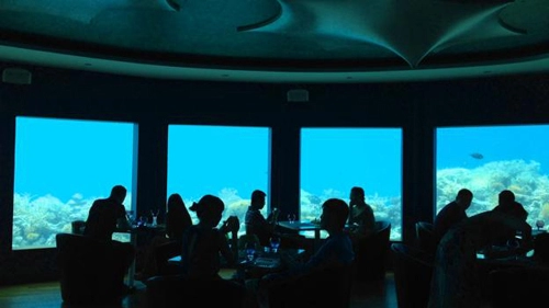 Đây là hộp đêm dưới biển đầu tiên trên thế giới