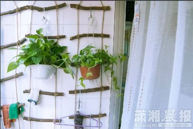 Nữ sinh tự biến phòng kí túc ẩm thấp thành căn hộ ấm áp
