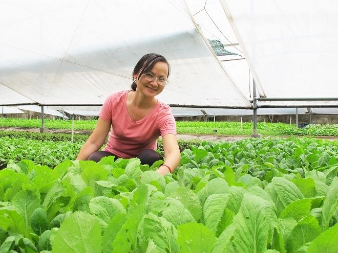 Chị nguyễn thị quỳnh viên bỏ giảng đường gây dựng giấc mơ