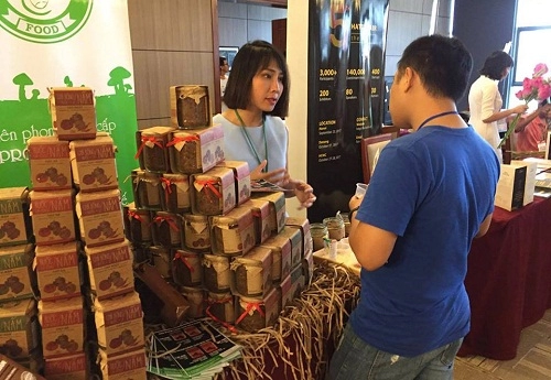 Hành trình đi đến thành công của phạm hồng vân
