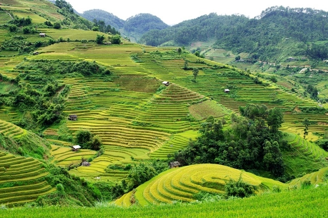 Mù cang chải những ngày trời đẹp mây xanh