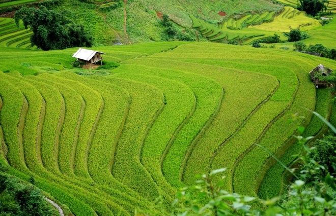Mù cang chải những ngày trời đẹp mây xanh
