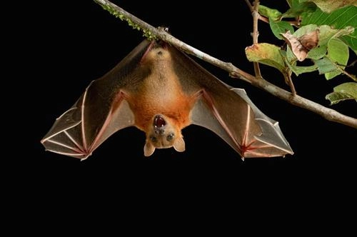 Những dấu hiệu báo trước giúp bạn có thể gặp may mắn