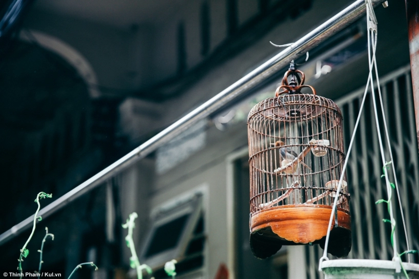 Hẻm sống chậm giữa lòng sài gòn đầy ký ức