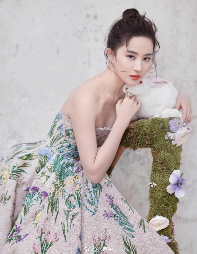 Phong cách khiến lưu diệc phi bị phản đối khi vào vai hoa mộc lan