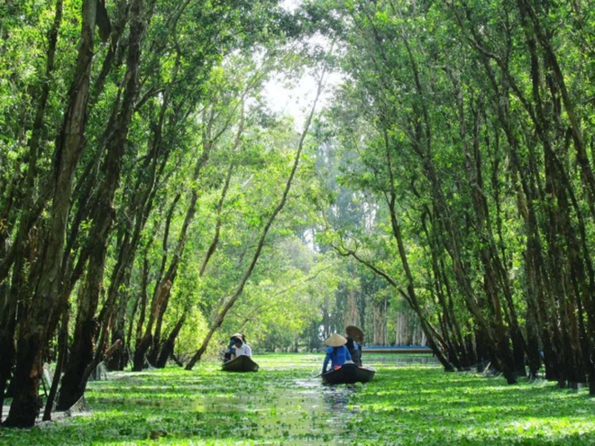 Ghé thăm rừng tràm lớn nhất miền tây nguồn cảm hứng mới của phim việt