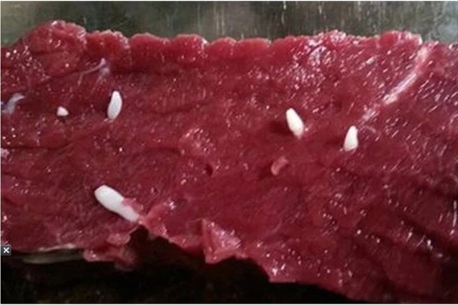Thịt bò sạch và thịt bò nhiễm sán phân biệt thế nào 