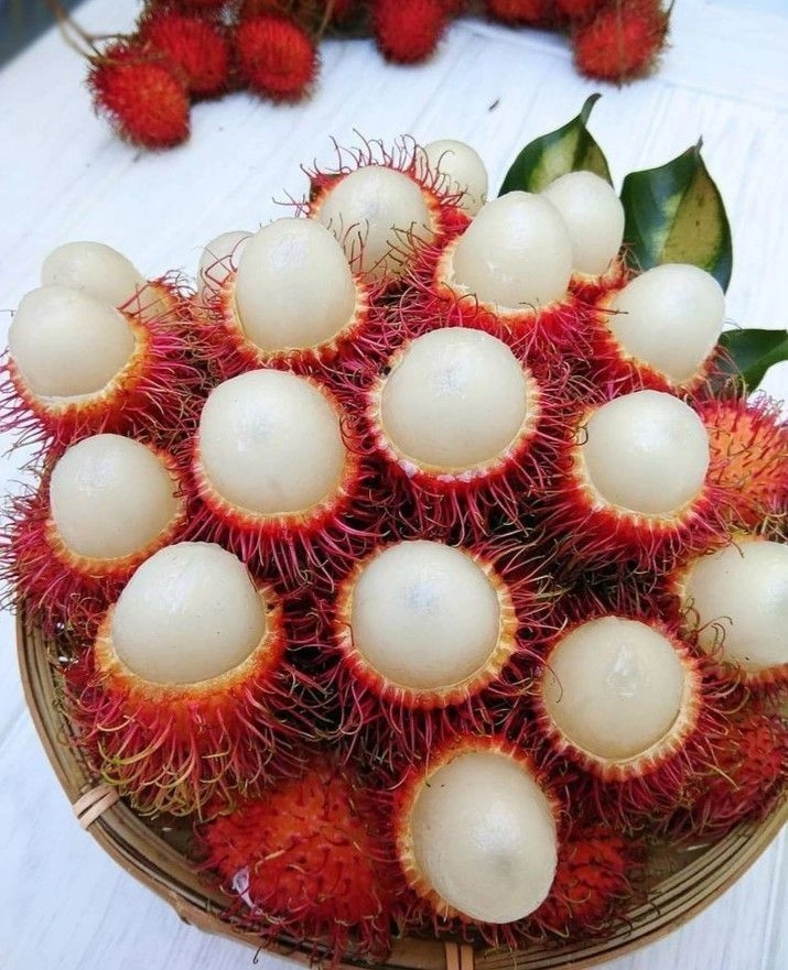 Top 4 loại trái giúp giữ dáng cho ngày hè 2025